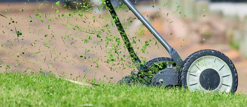 Rev. Matt Rawle often finds God's presence in the ordinary, like mowing his backyard. Photo in the Public Domain.