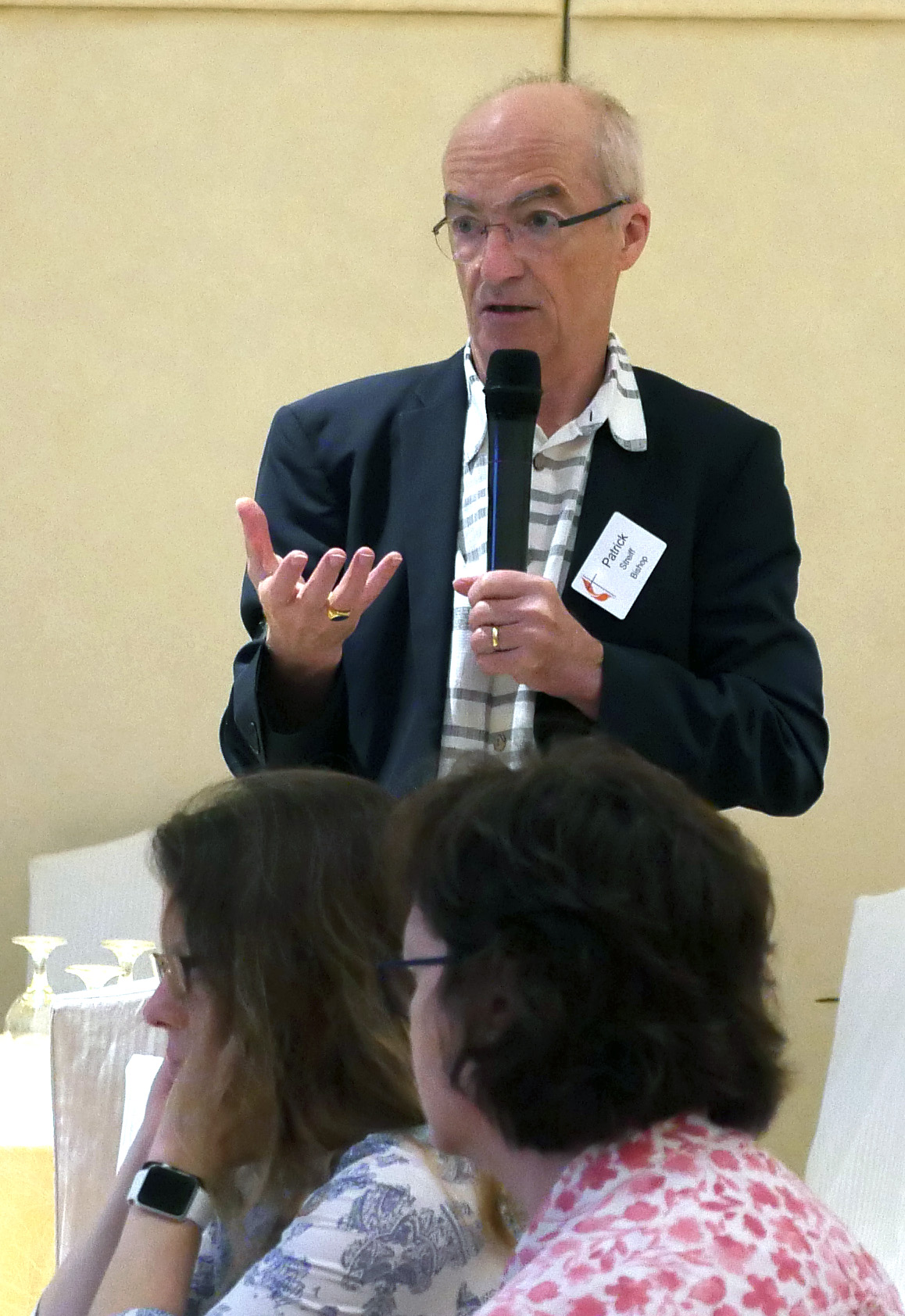Central and Southern Europe Area Bishop Patrick Streiff addresses fellow members of the Standing Committee on Central Conference Matters. He urged the committee to delay putting work on a General Book of Discipline up for a vote at General Conference until 2024. Photo by Heather Hahn, UMNS.
