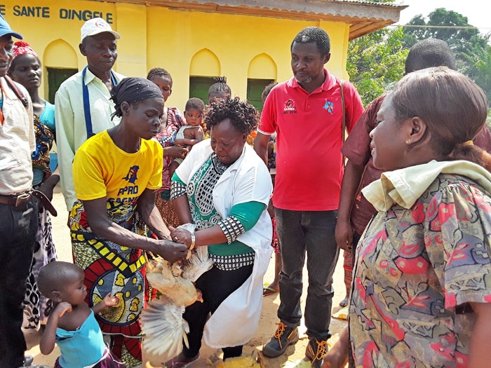 Denise Mondji Coordinatrice du projet Santé de la Mère et de l'enfant remet des poules de race améliorée et les semences à Mme Odette Akatshi en présence de Mr. Albert Ndjate Superviseur de la Zone de Santé de Katako-Kombe. Photo de François Omanyondo, UMNS.