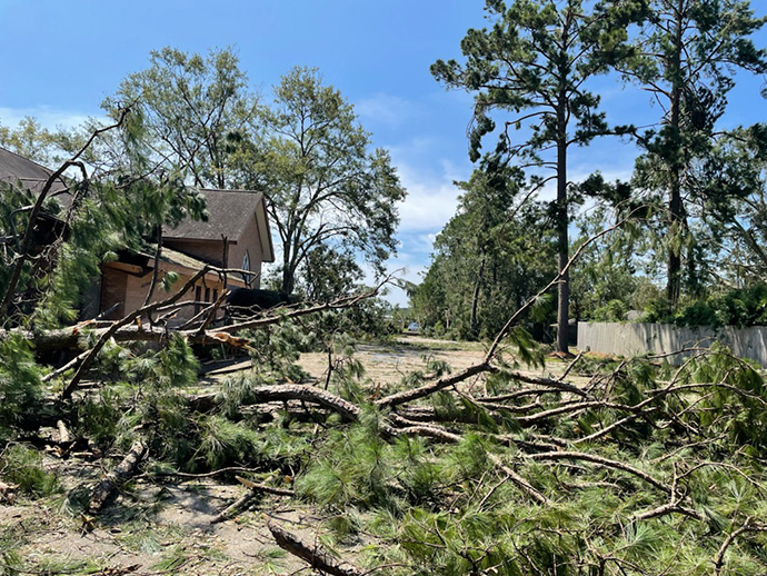 First United Methodist Church in Hammond, La., faces a major cleanup from pine trees blown down in Hurricane Ida. Photo courtesy of the Rev. Drew Sutton.