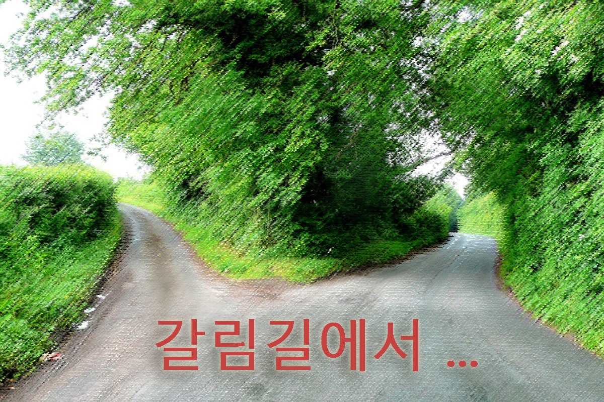 미국 내 개체 교회의 교단 탈퇴에 관한 교단 차원의 공식 입장은 없다. 장정 ¶2553이 로드맵 역할을 할 수 있지만, 이 법은 또한 각 연회에게 소속 교회들의 탈퇴에 관한 추가 기준을 마련할 수 있도록 허용한다. 사진 제공: 조나단 빌링어, 위키미디어 커먼즈, 그래픽 작업: 로렌스 글래스, 연합감리교뉴스.