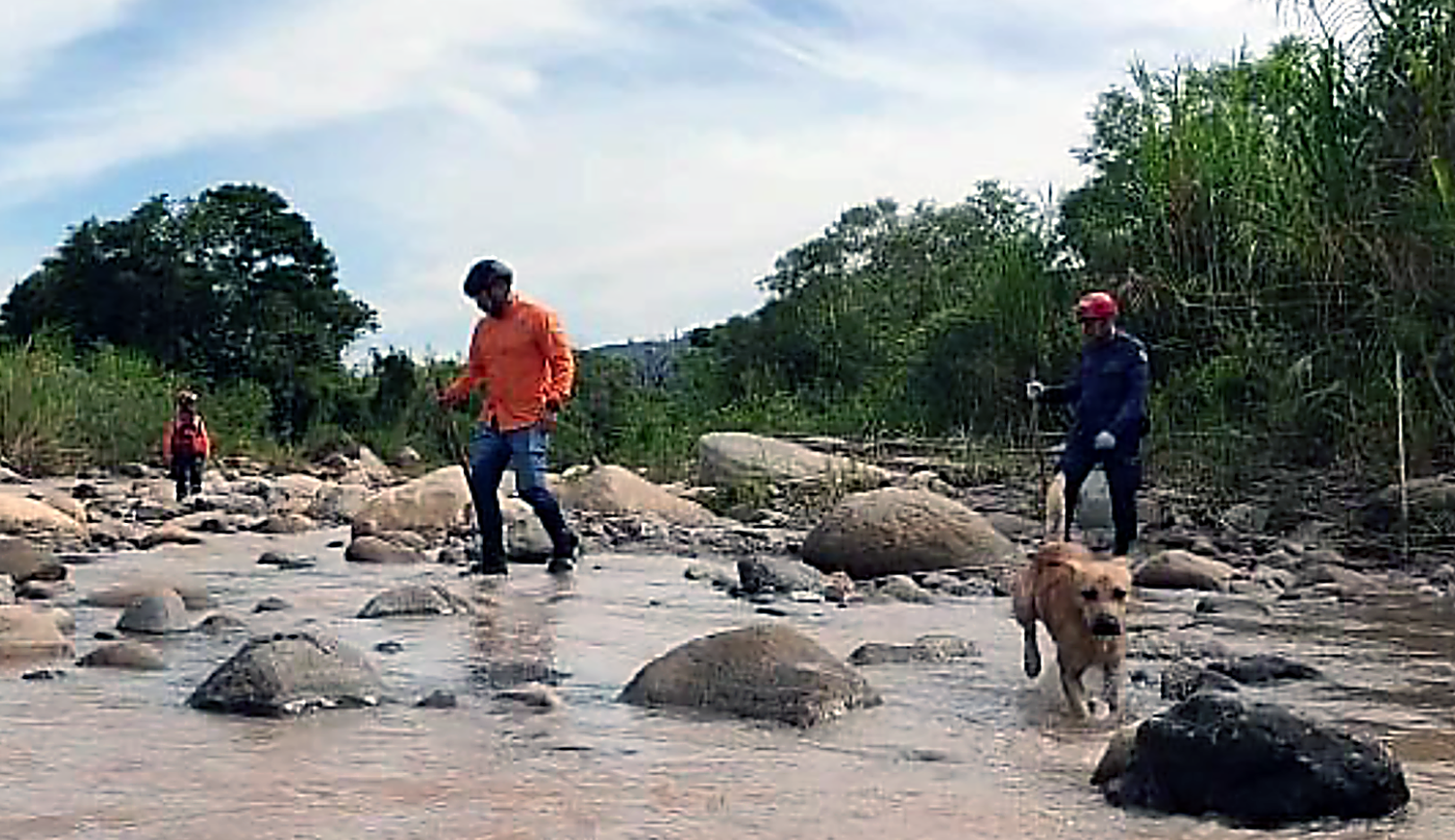 La búsqueda de los jóvenes desaparecidos se ha mantenido desde el viernes 23 de septiembre, en la cual participan varios cuerpos de seguridad, voluntarios, la comunidades organizadas en la zona y perros entrenados para estas labores. Se han rastreado mas de 15 kilómetros de las márgenes de la quebrada La Molina, en la cual se produjo el aluvión que arrastró a los 10 jóvenes del campamento metodista. Foto cortesía de Protección Civil del estado Táchira, Venezuela.