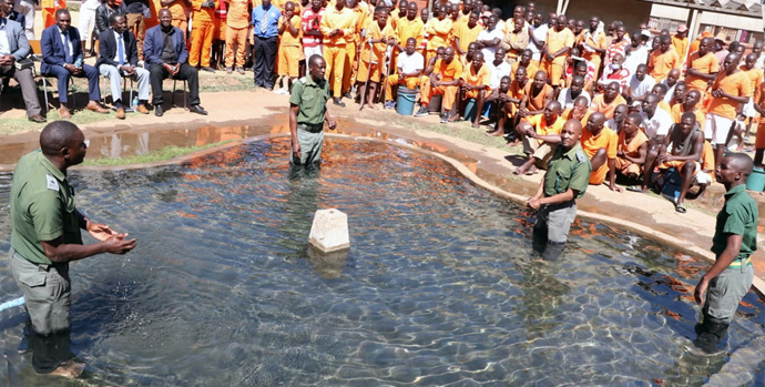 Quatro capelães estão em uma piscina de água esperando para imergir os presos na Prisão de Segurança Máxima de Chikurubi, em Harare, Zimbábue, em 28 de julho. Os capelães, a partir da esquerda, são Mwero Bonface, Walter Chiramba, Jefat Zhou e Emmanuel Mashawi. Foto de Prudence Choto, Prisão de Segurança Máxima de Chikurubi.