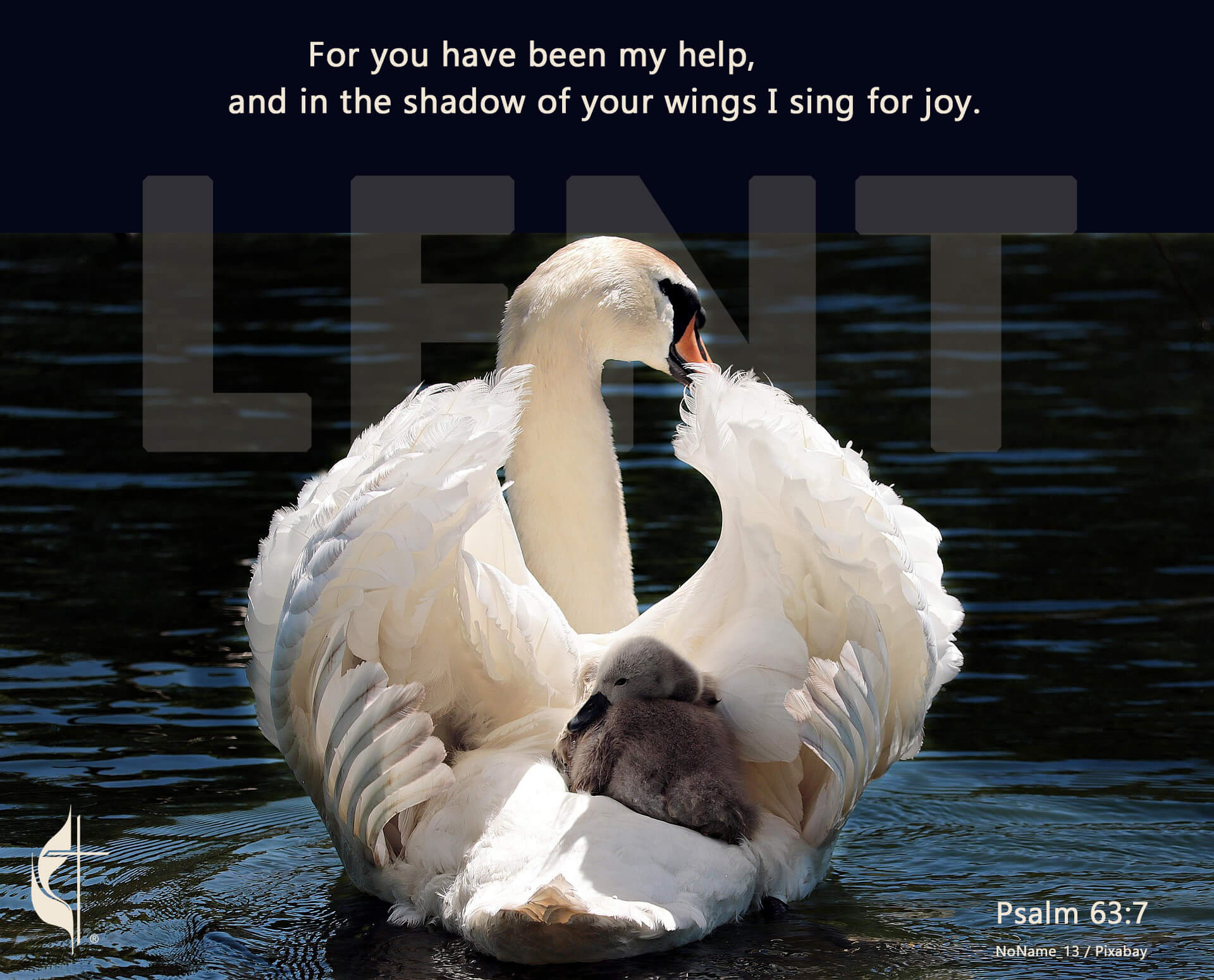 Psalm 63:7. Photo by NoName_13 / Pixabay; graphic by Laurens Glass.