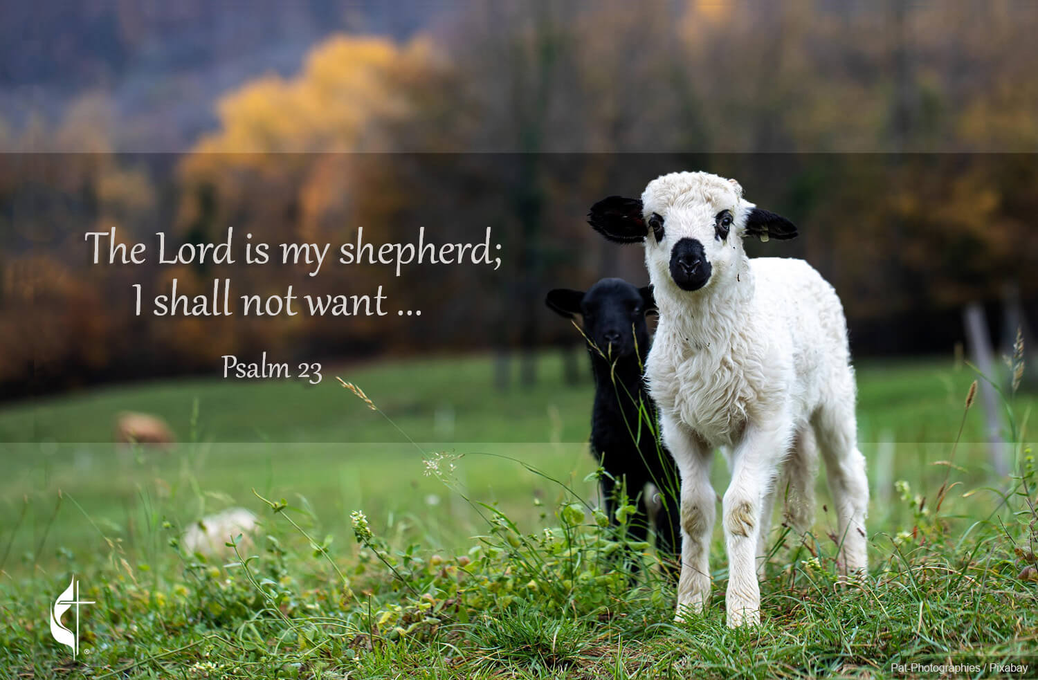 Psalm 23. Photo by Pat-Photographies / Pixabay; graphic by Laurens Glass.