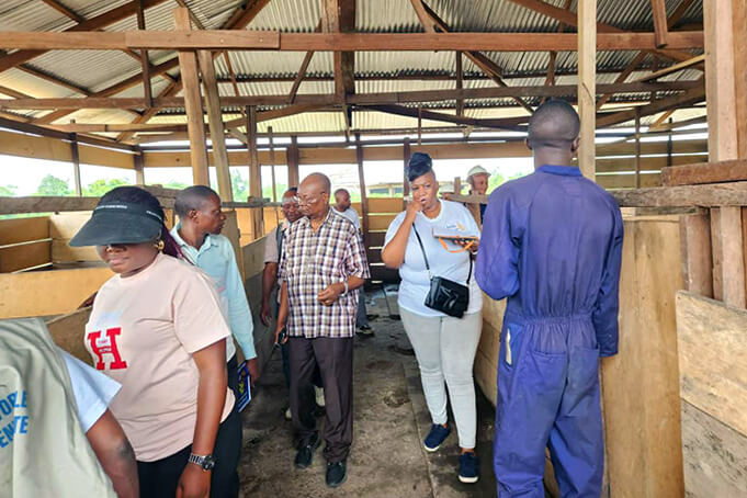 United Methodist Bishop Gabriel Yemba Unda (center) of the East Congo Episcopal Area and Global Missionary Lorraine Charinda (right, next to the bishop) visit The United Methodist Church’s farm in Kindu, Congo. Established through the Yambasu Agriculture Initiative, the farm grows vegetables and features pig and fish farming. Unda says the initiative is a concrete expression of faith in action. Photo by Chadrack Tambwe Londe, UM News.