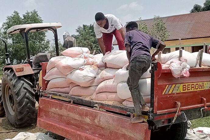 Two workers unload bags of corn cultivated on a United Methodist farm in Kindu, Congo, which is a project of the church’s Yambasu Agriculture Initiative. The tractor, which was purchased with funding from the United Methodist Board of Global Ministries, also helps transport crops over sometimes impassable roads in the Maniema Province. Photo by Chadrack Tambwe Londe, UM News.